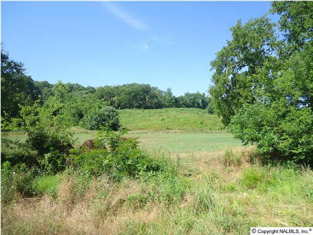 0 McBurg Road Frankewing, TN 38459 - Photo 16 of 17 Gallery Image 16