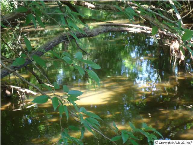 0 McBurg Road Frankewing, TN 38459 - Photo 17 of 17 Gallery Image 17
