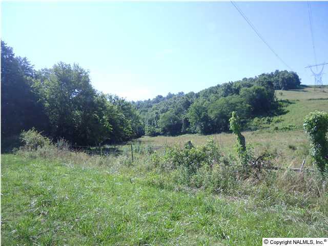 0 McBurg Road Frankewing, TN 38459 - Photo 3 of 17 Another view of the acreage.