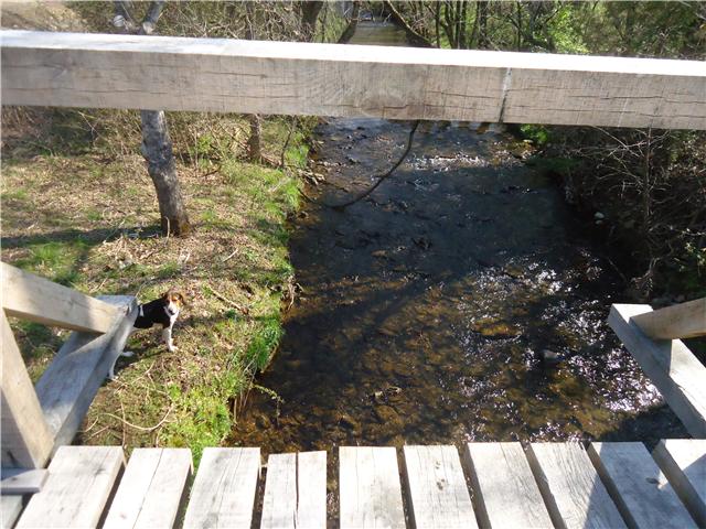 0 McBurg Road Frankewing, TN 38459 - Photo 4 of 17 View of the creek from the bridge.