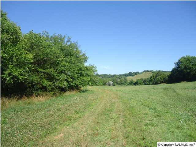 0 McBurg Road Frankewing, TN 38459 - Photo 5 of 17 More pasture land.