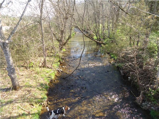 0 McBurg Road Frankewing, TN 38459 - Photo 6 of 17 View of the creek from the other side of the bridge.