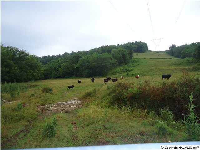 0 McBurg Road Frankewing, TN 38459 - Photo 7 of 17 Gallery Image 7