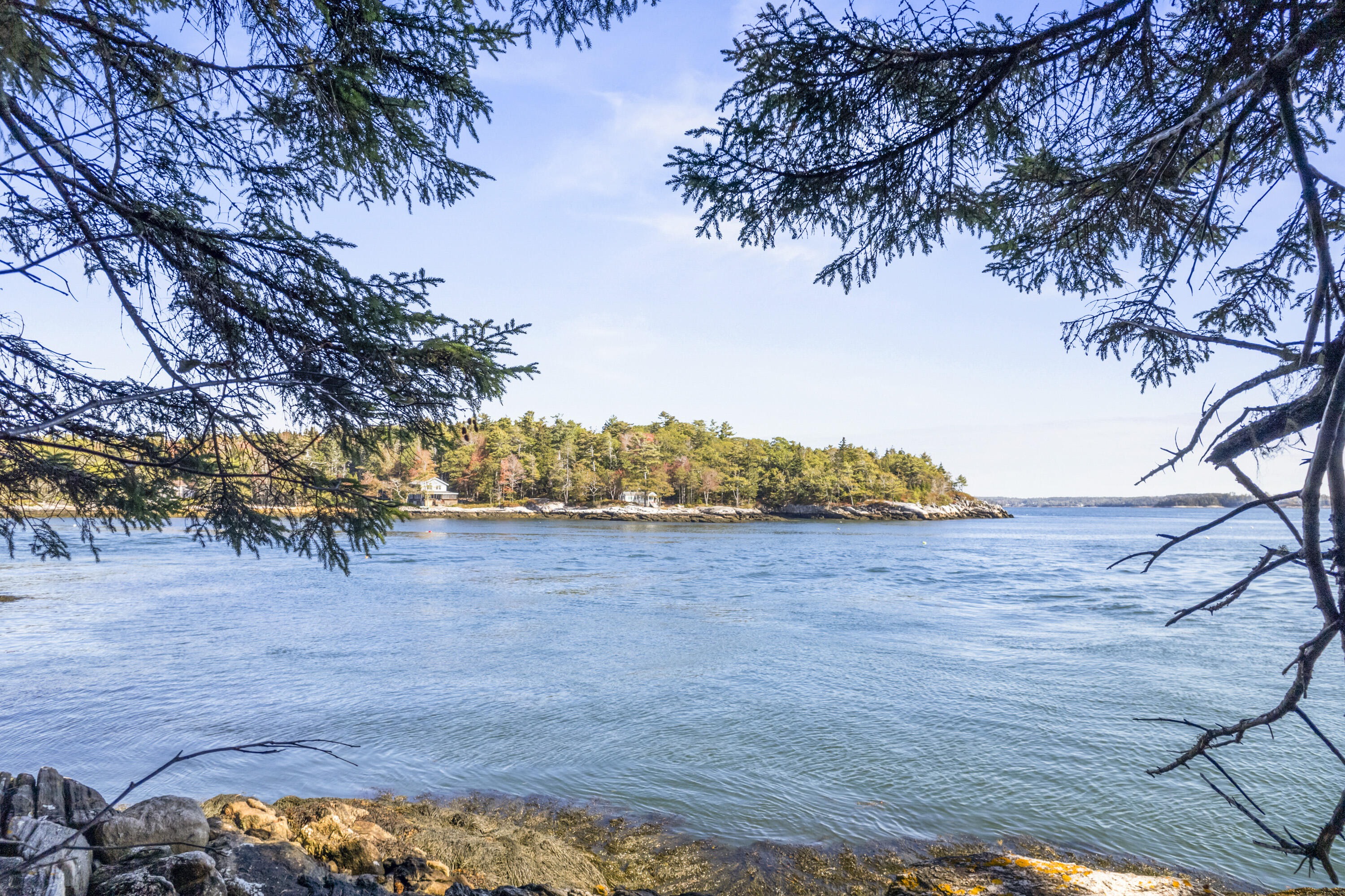 13 Narrows Way Georgetown, ME 04548 - Photo 22 of 57 13 Narrows Way_0124