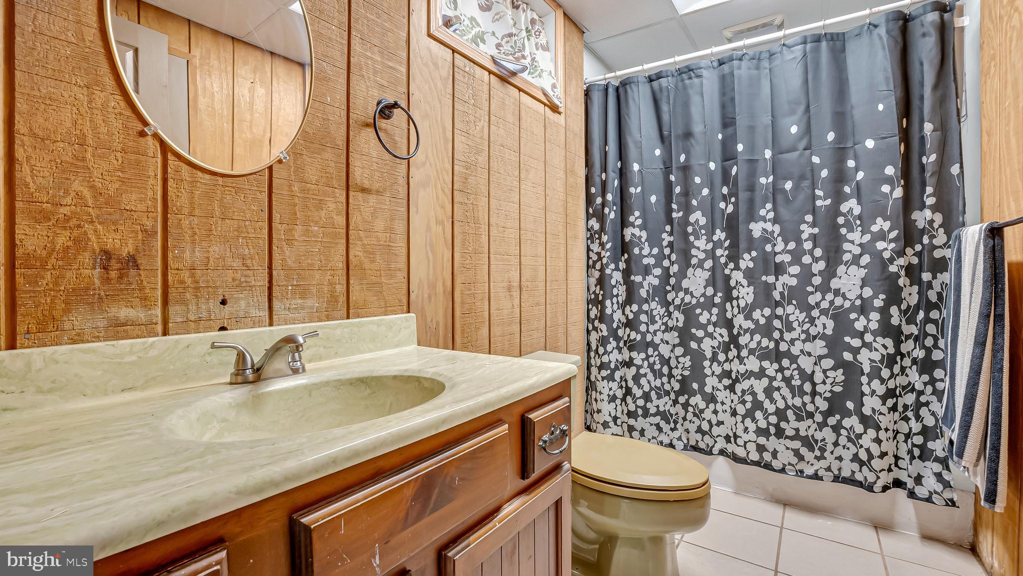 332 Blue Rocks Road Lenhartsville, PA 19534 - Photo 61 of 109 lower level bathroom