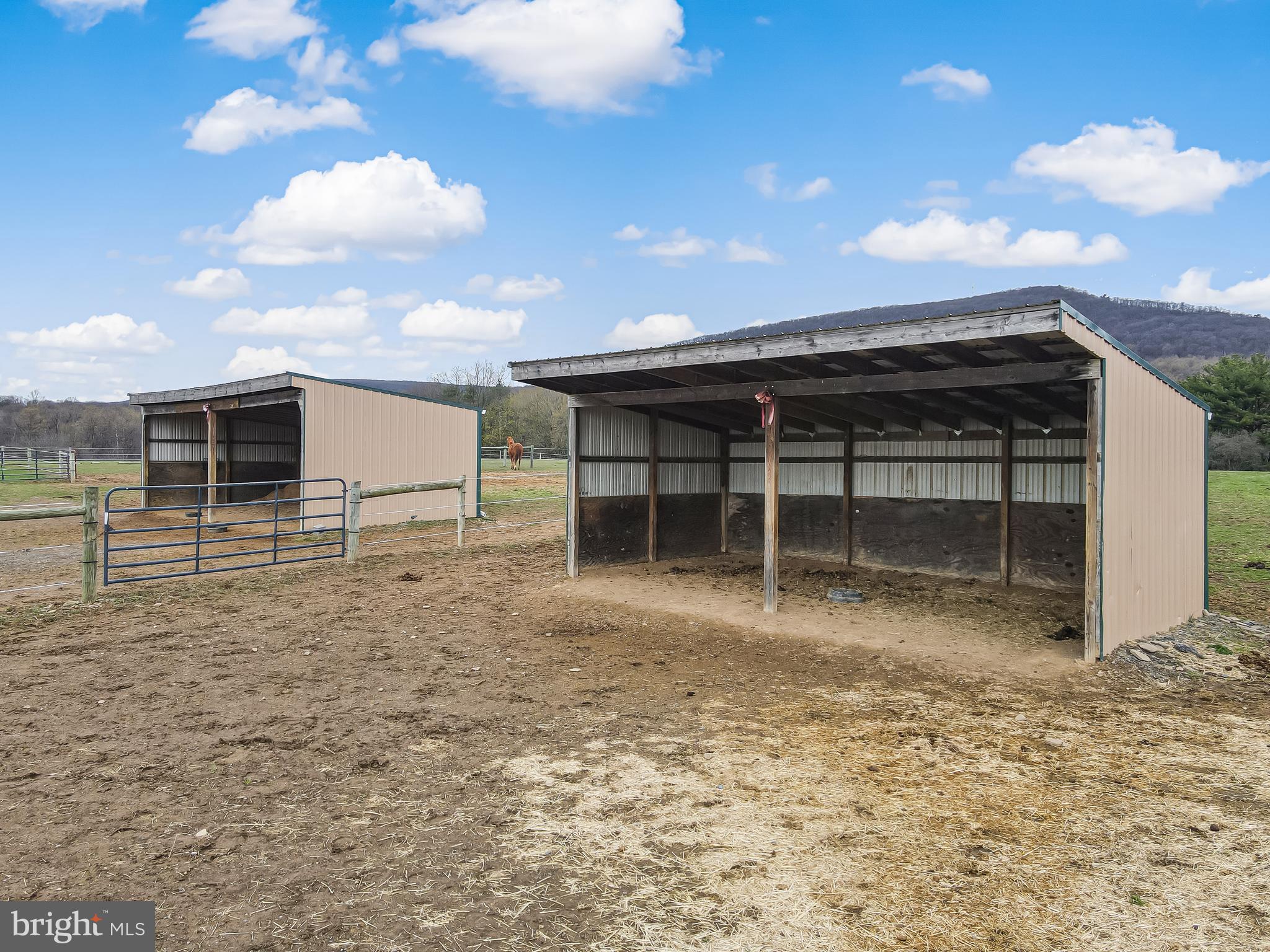 332 Blue Rocks Road Lenhartsville, PA 19534 - Photo 90 of 109 run-in sheds for pasture board