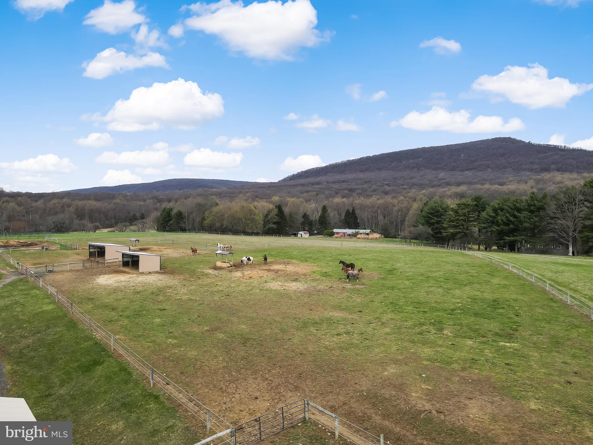 332 Blue Rocks Road Lenhartsville, PA 19534 - Photo 95 of 109