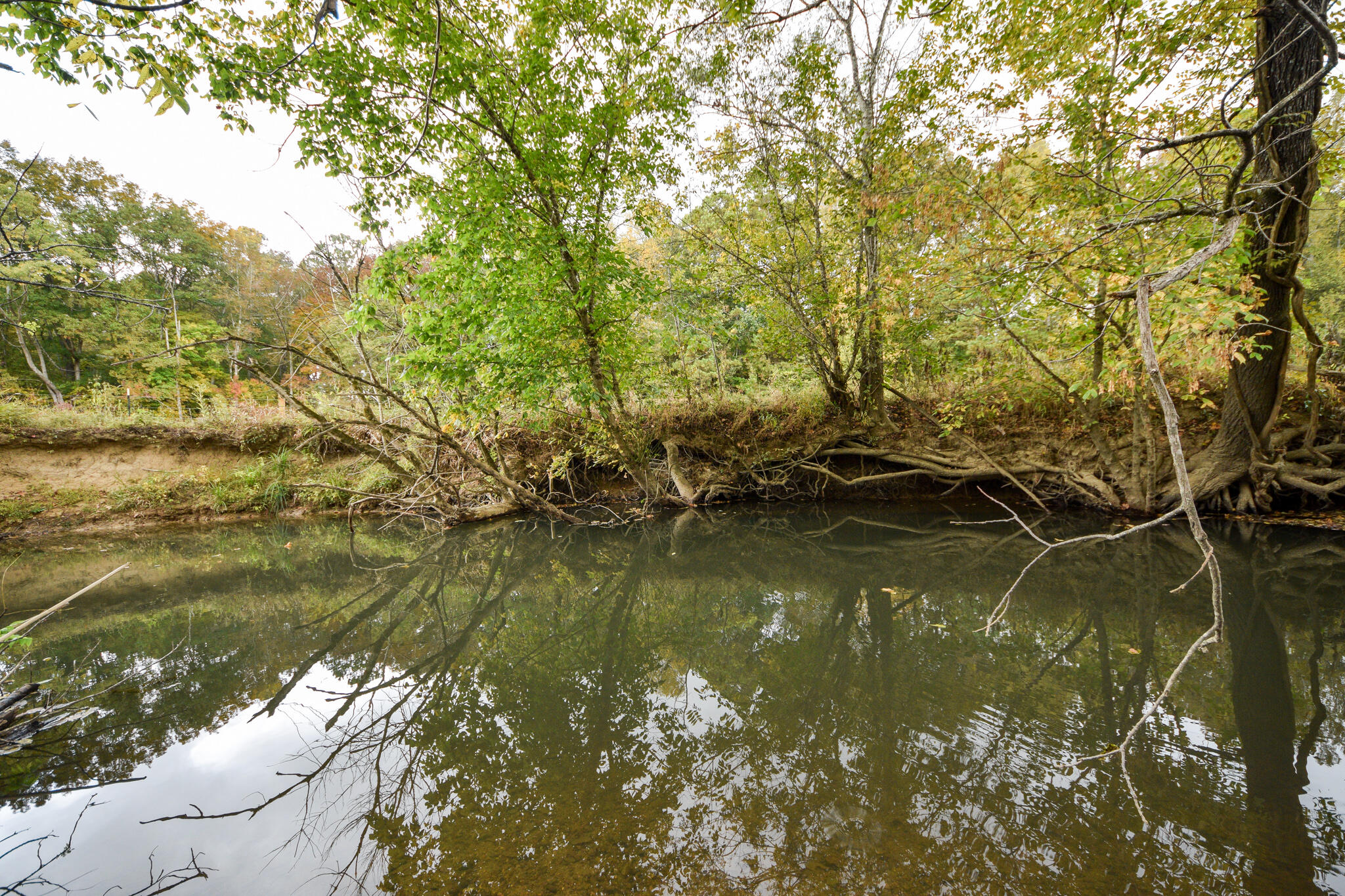 362 County Road 61 Riceville, TN 37370 - Photo 69 of 78 DSC_0237
