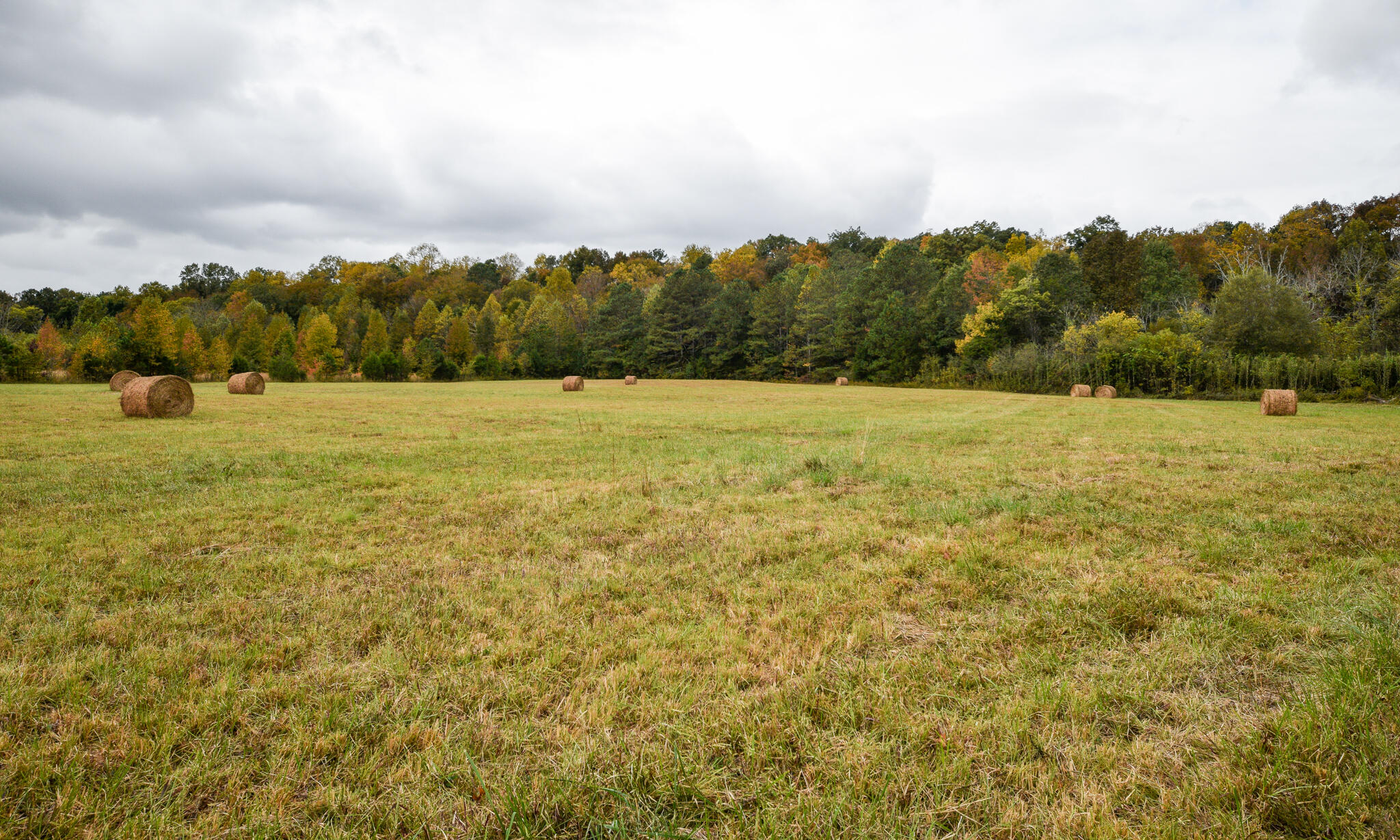 362 County Road 61 Riceville, TN 37370 - Photo 73 of 78 DSC_0233