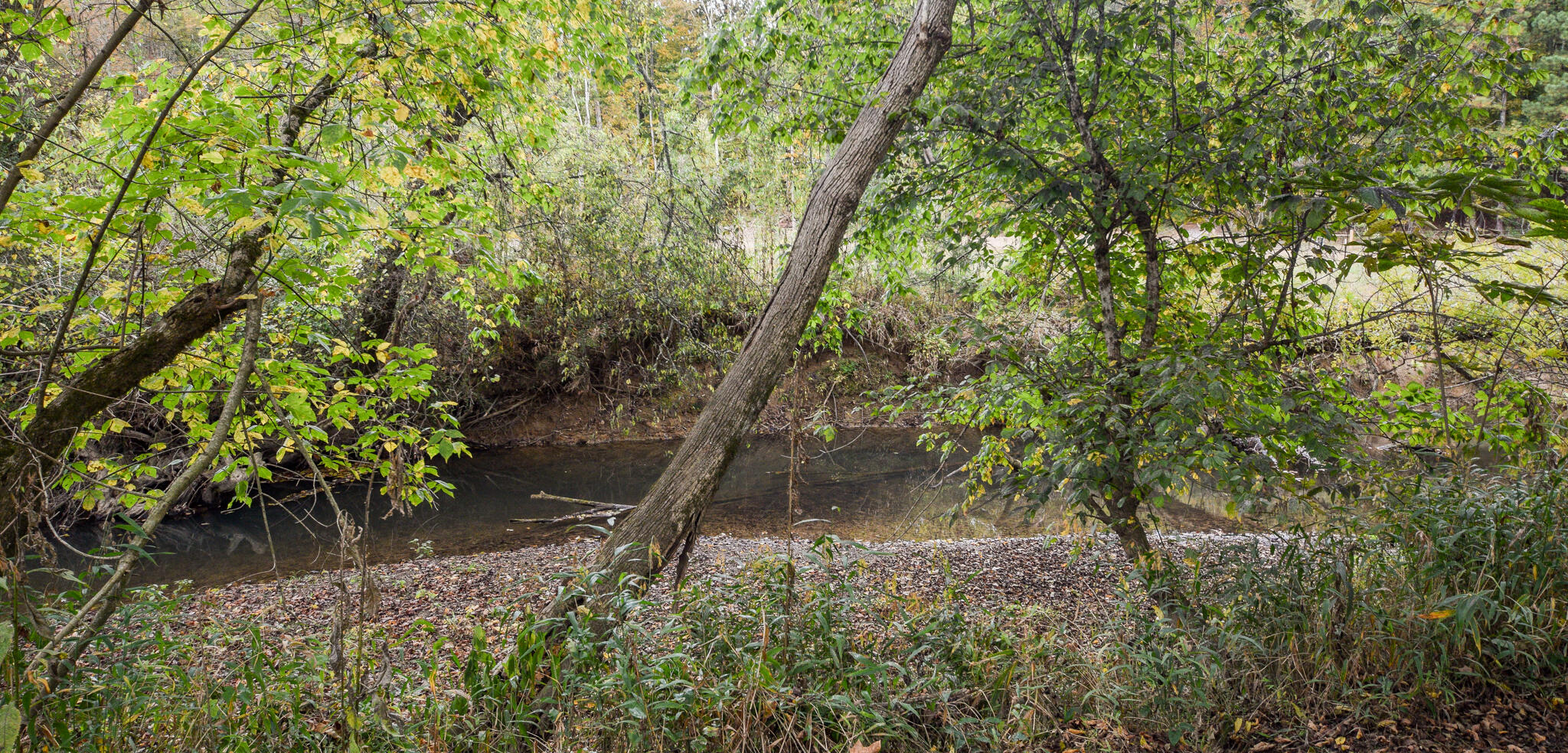 362 County Road 61 Riceville, TN 37370 - Photo 74 of 78 DSC_0238