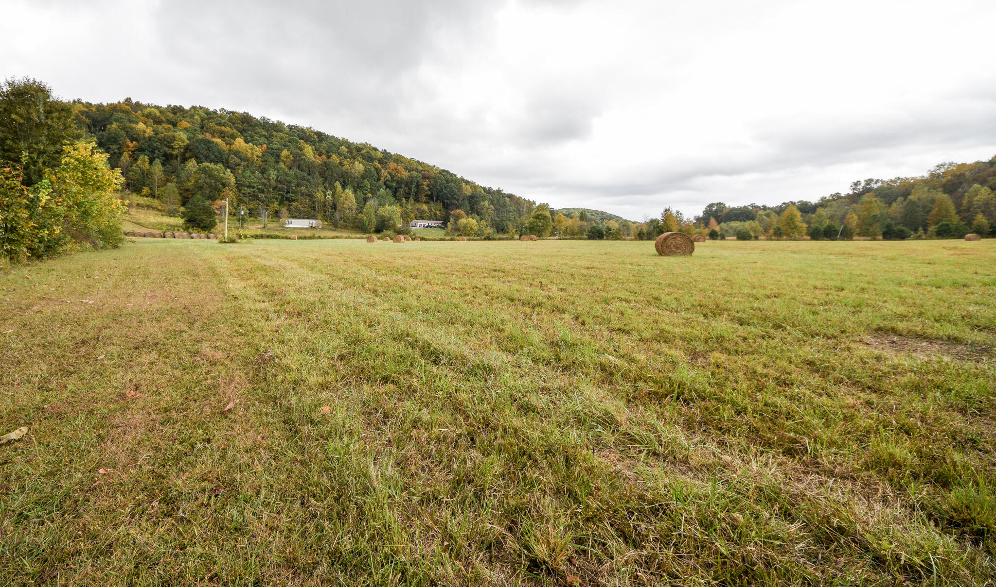 362 County Road 61 Riceville, TN 37370 - Photo 75 of 78 DSC_0239