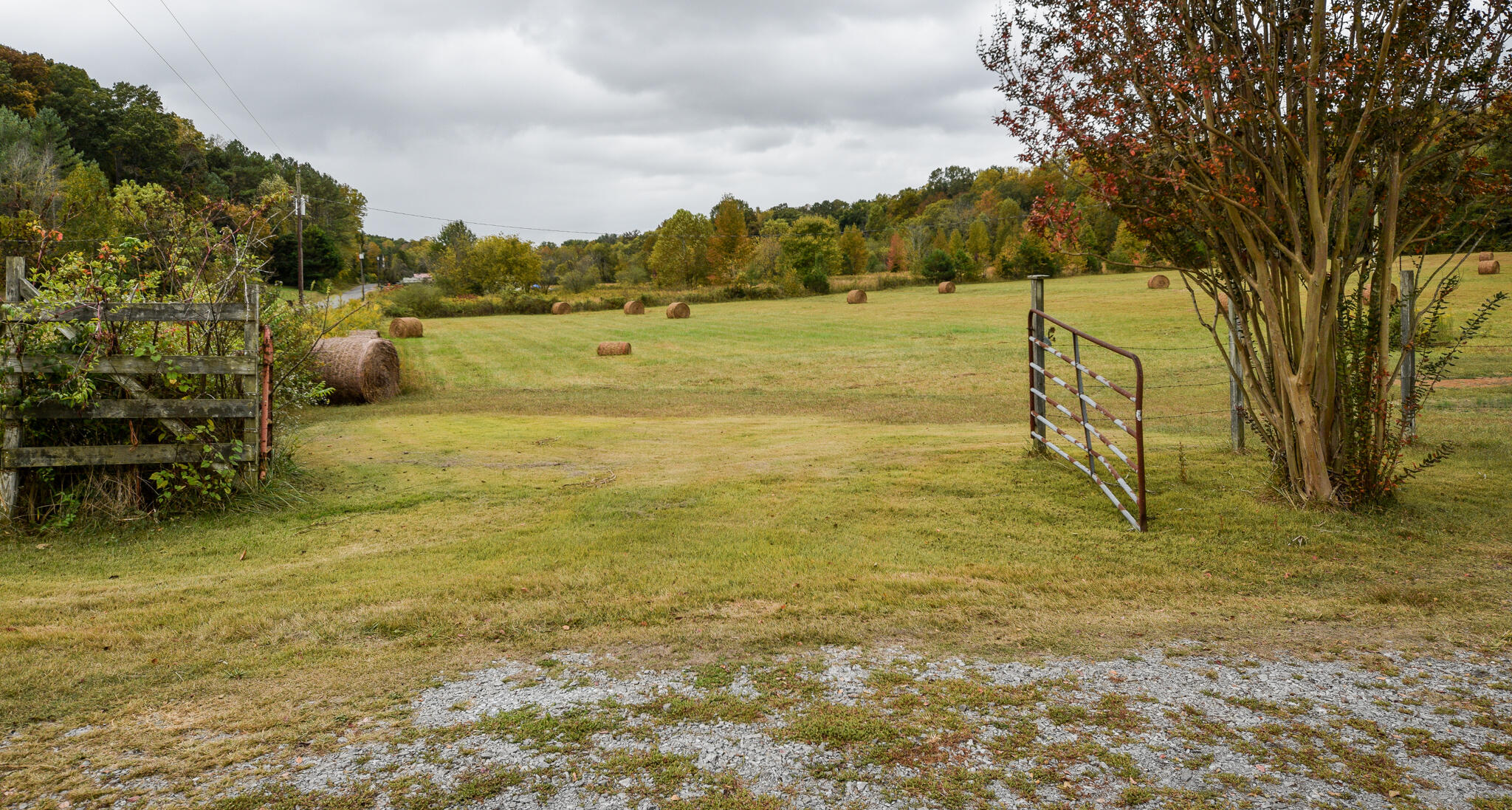 362 County Road 61 Riceville, TN 37370 - Photo 76 of 78 DSC_0231