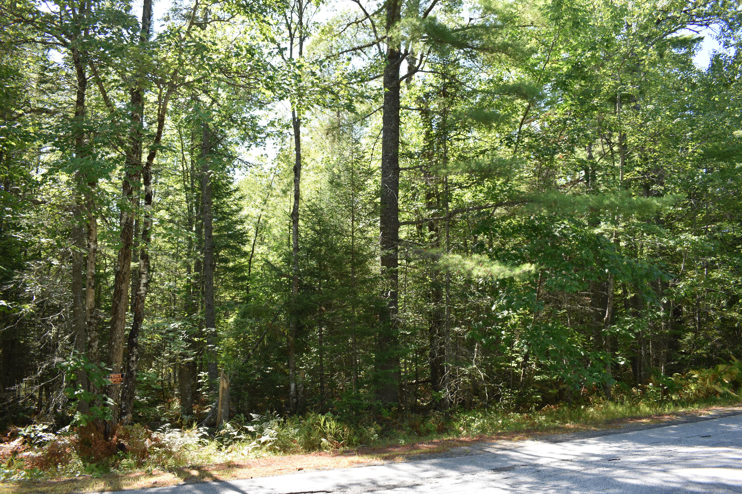100 East Ridge Road Greenbush, ME 04418 - Photo 2 of 3 DSC_0324