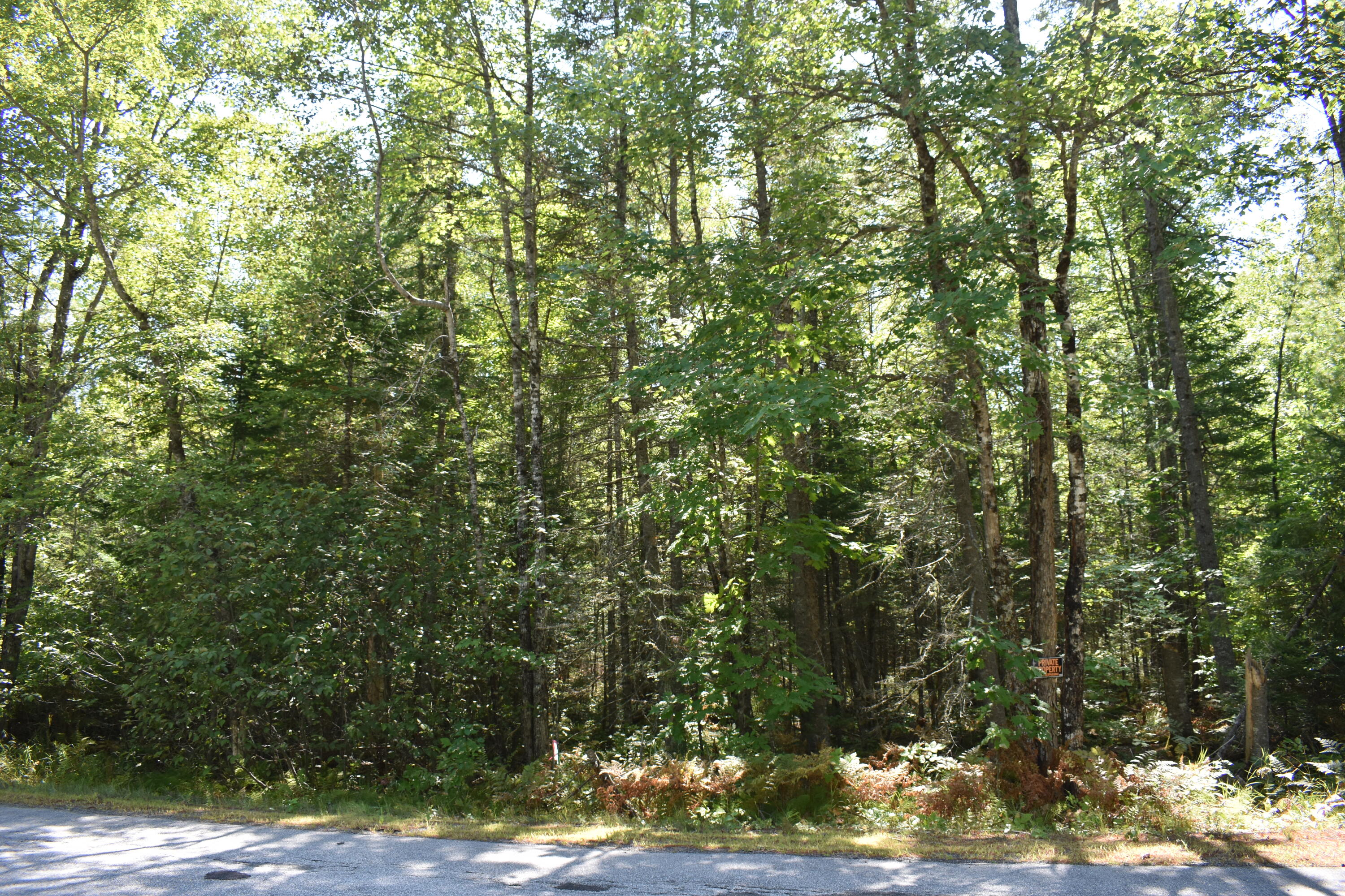 100 East Ridge Road Greenbush, ME 04418 - Photo 3 of 3 DSC_0325