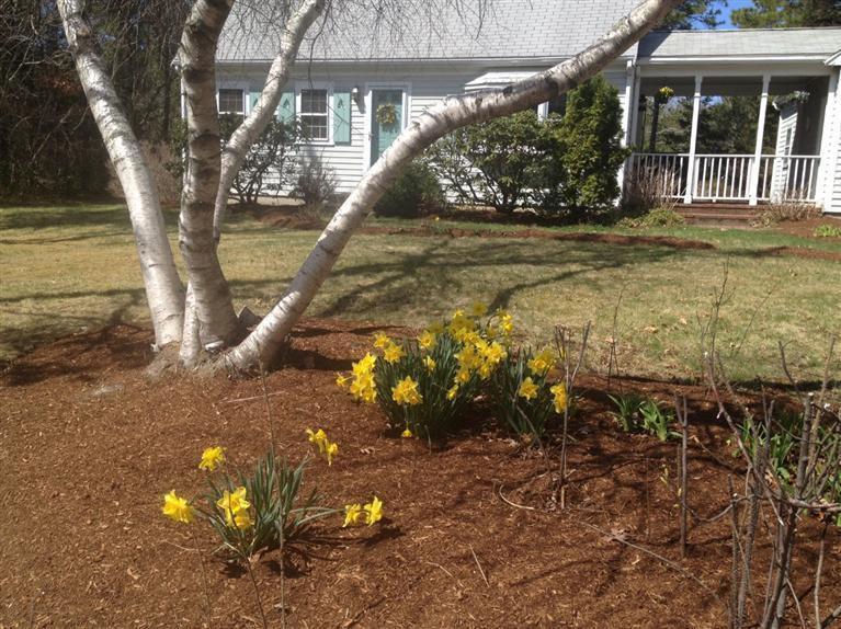 40 Asa Meigs Road Marstons Mills, MA 02648 - Photo 2 of 22 Additional Photo