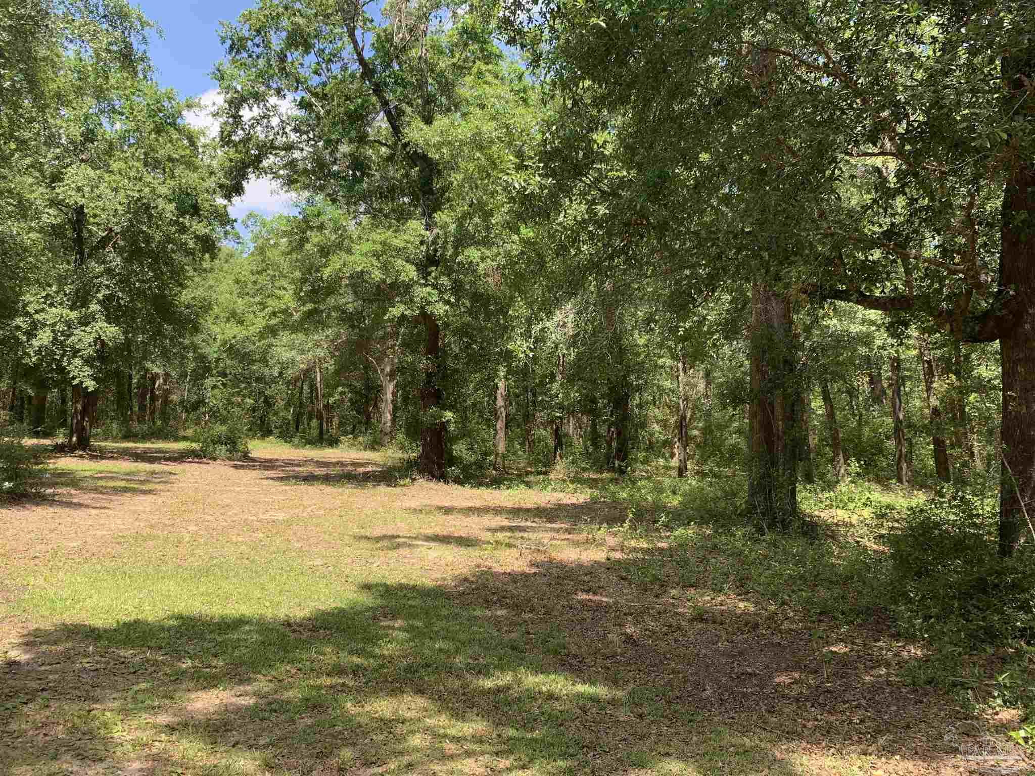 4113 Popcorn Road Milton, FL 32583 - Photo 13 of 13 Gallery Image 13