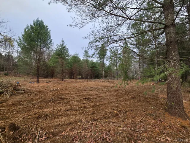 a view of a yard with a tree