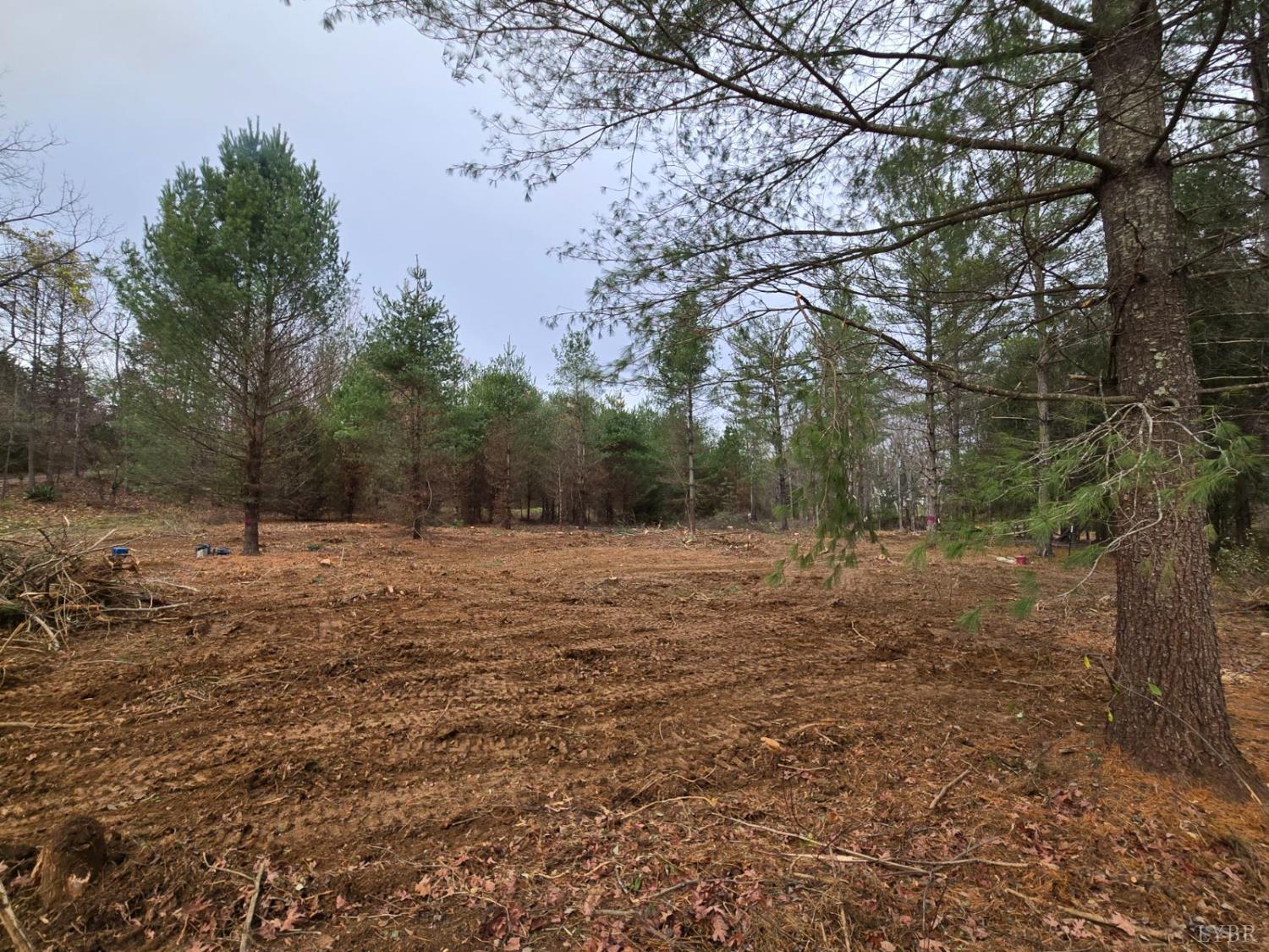 0 Founding Way Road Bedford, VA 24523 - Photo 2 of 9 Gallery Image 2