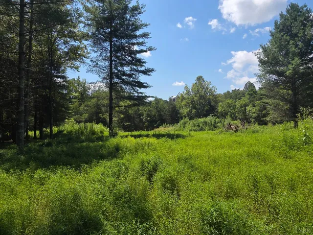 a view of a grassy field with trees around