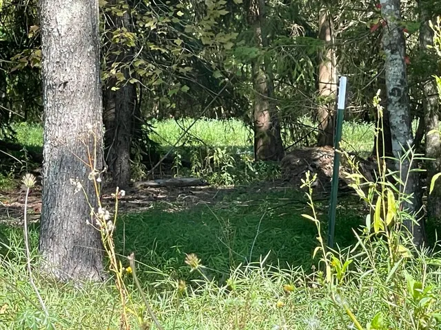a view of yard with green space