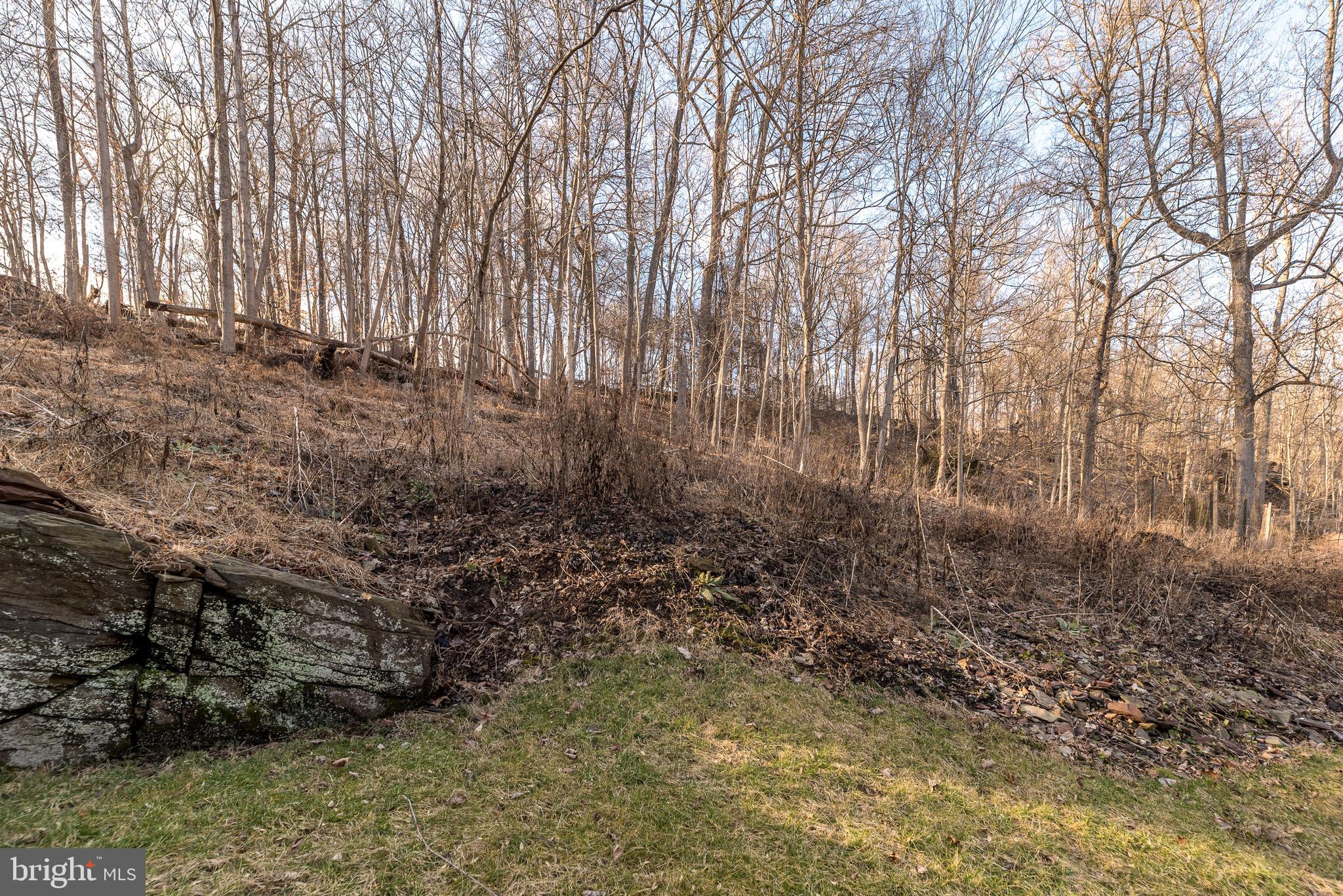 213 River Road Pipersville, PA 18947 - Photo 36 of 37 Looking up the property into the woods