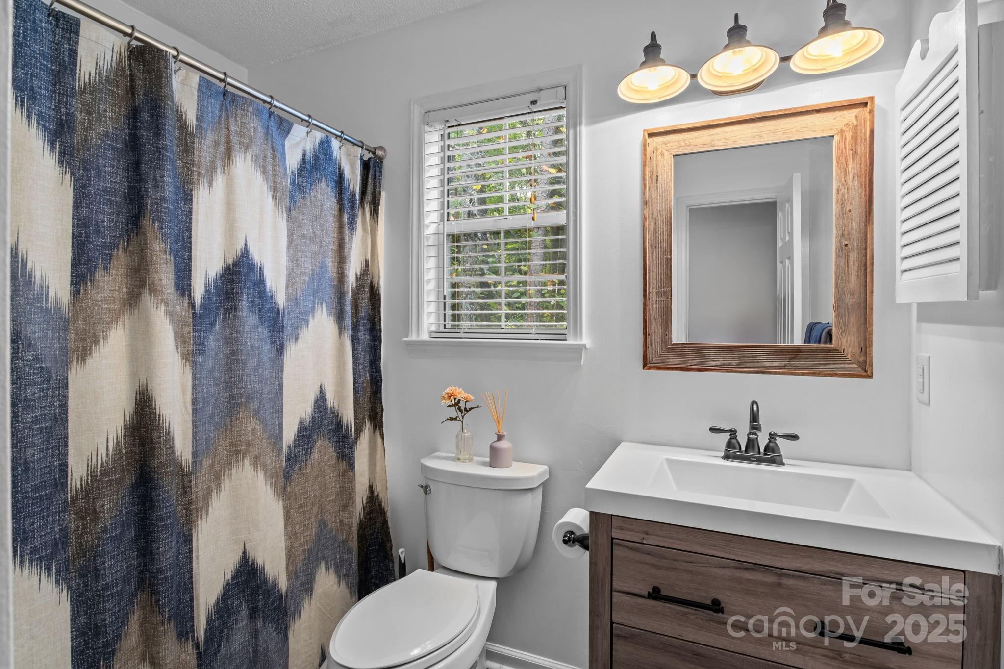 7229 Catawba Springs Road Denver, NC 28037 - Photo 33 of 48 a bathroom with a sink toilet and shower