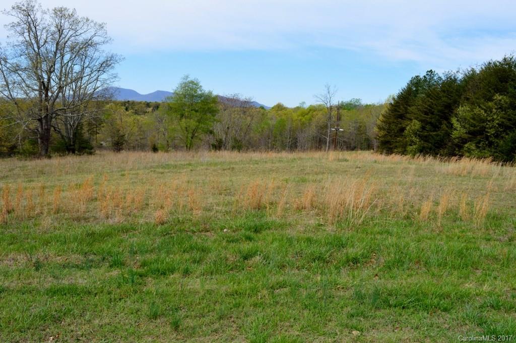 0 Spring Lane, Unit 8 Columbus, NC 28722 - Photo 2 of 6 a view of yard and mountain view