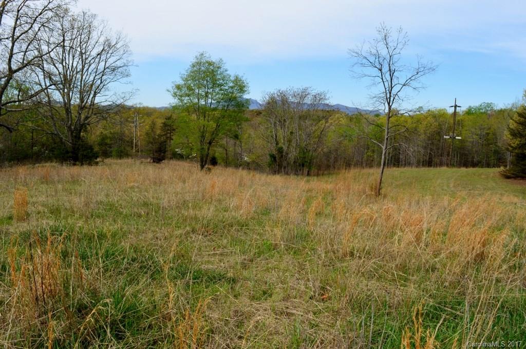 0 Spring Lane, Unit 8 Columbus, NC 28722 - Photo 3 of 6 a view of a field