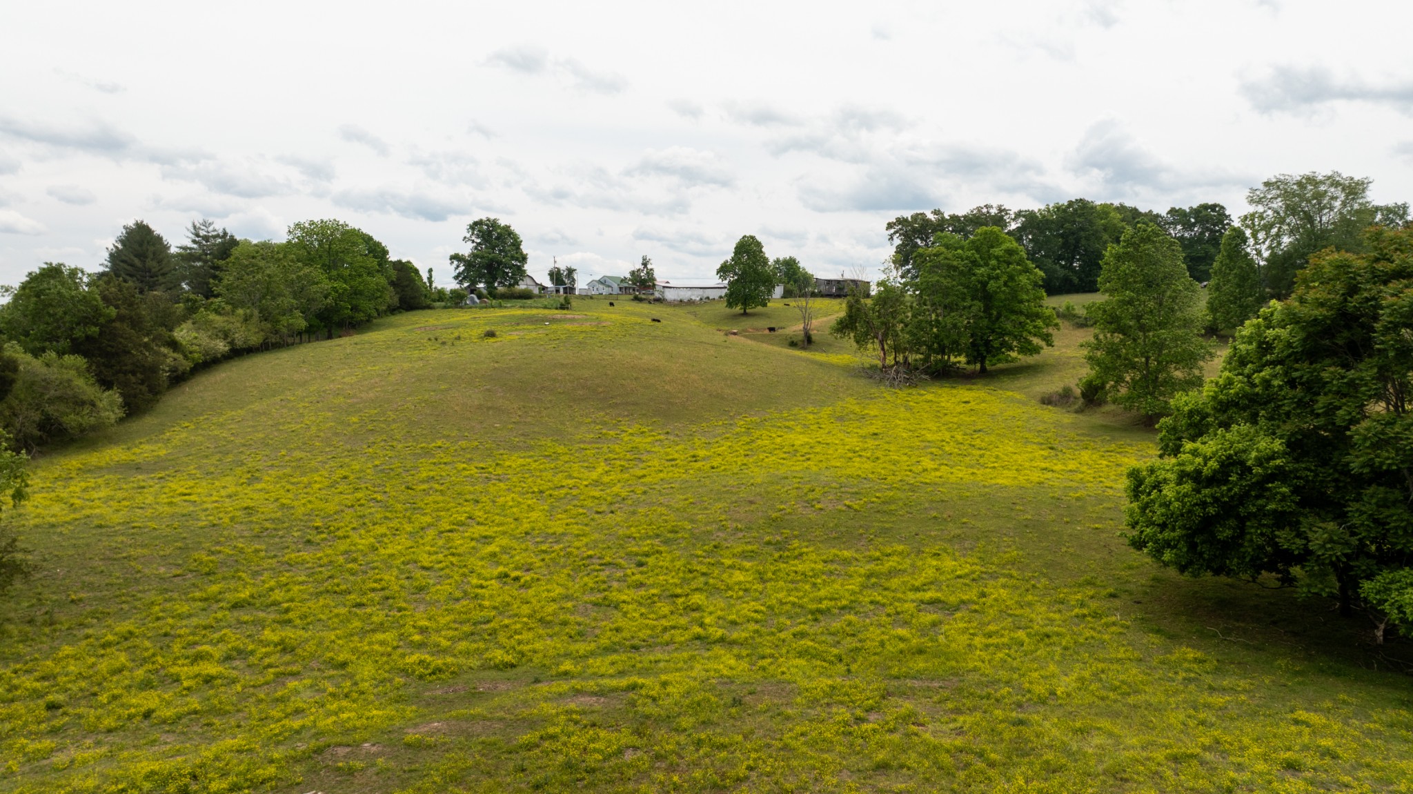 1496 South Bunker Hill Road Sparta, TN 38583 - Photo 19 of 26