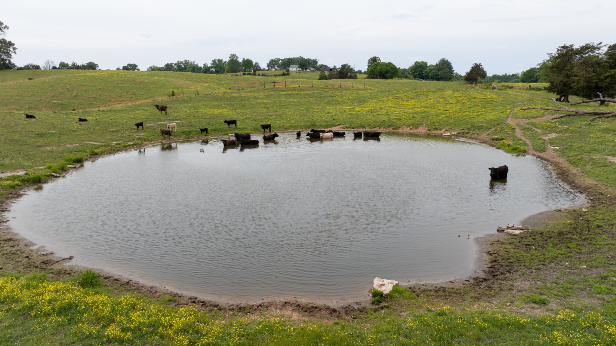 1496 South Bunker Hill Road Sparta, TN 38583 - Photo 23 of 26