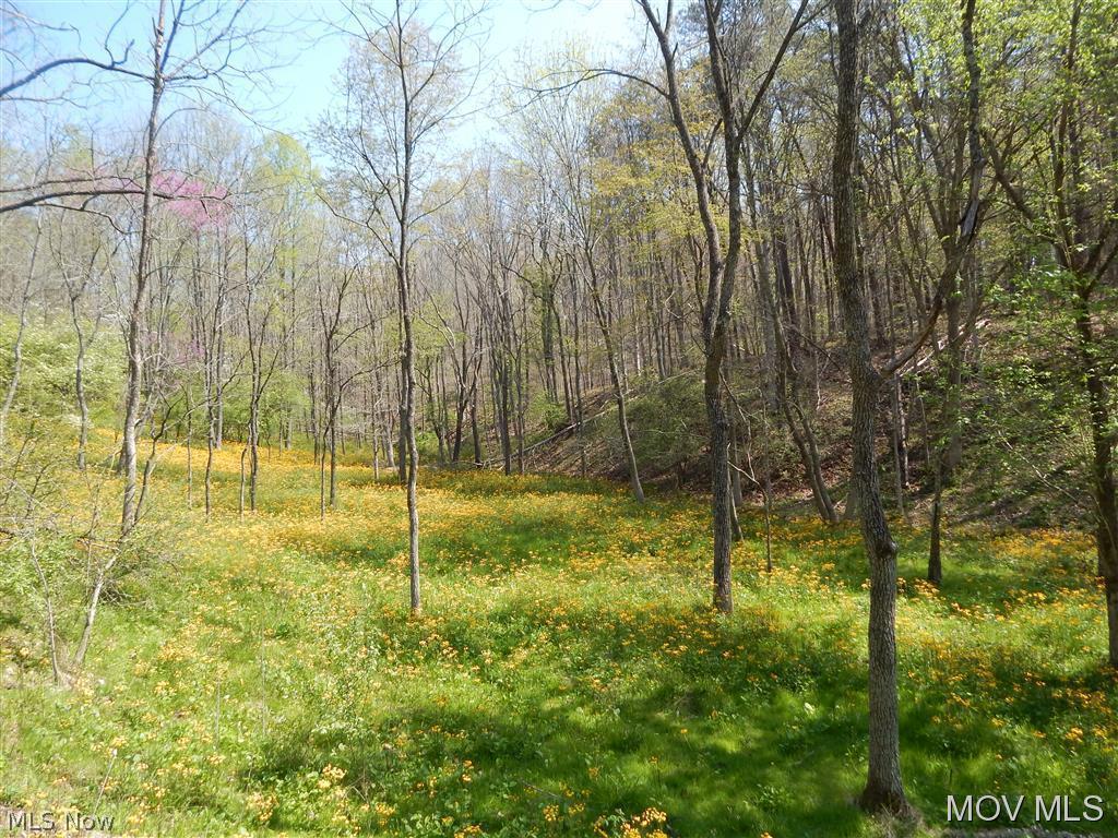 0 Hulderman Ridge Harrisville, WV 26362 - Photo 6 of 18 Gallery Image 6