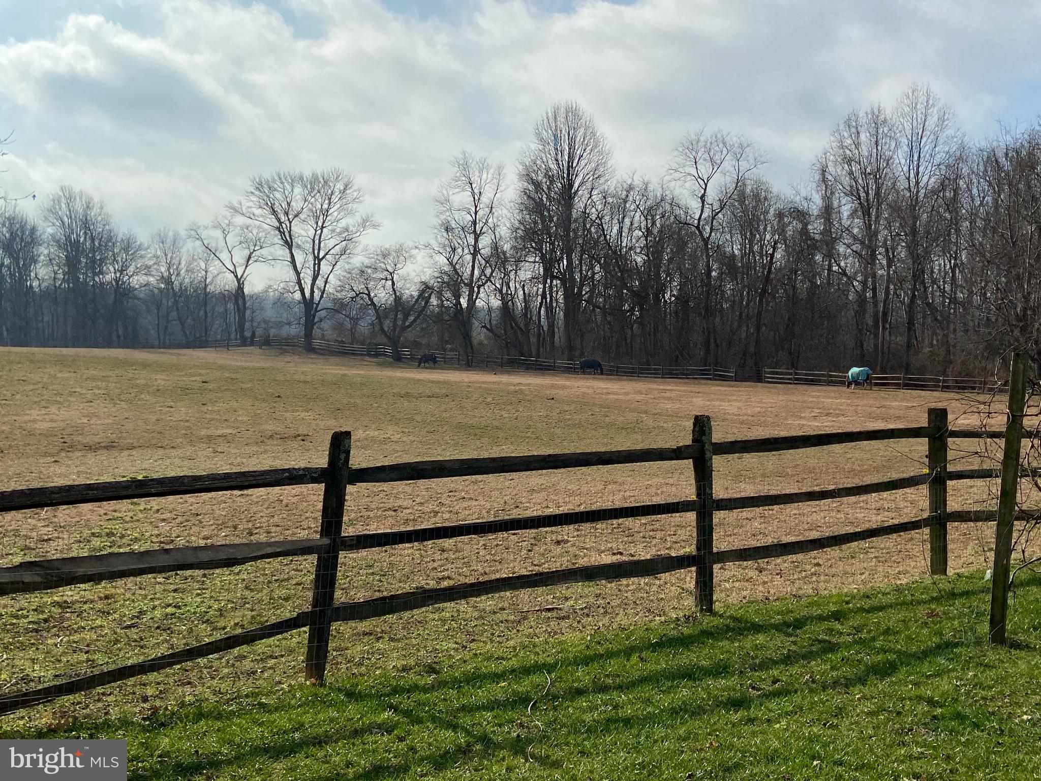 5193 Old Solomons Island Road Lothian, MD 20711 - Photo 19 of 19 Neighbors Pasture