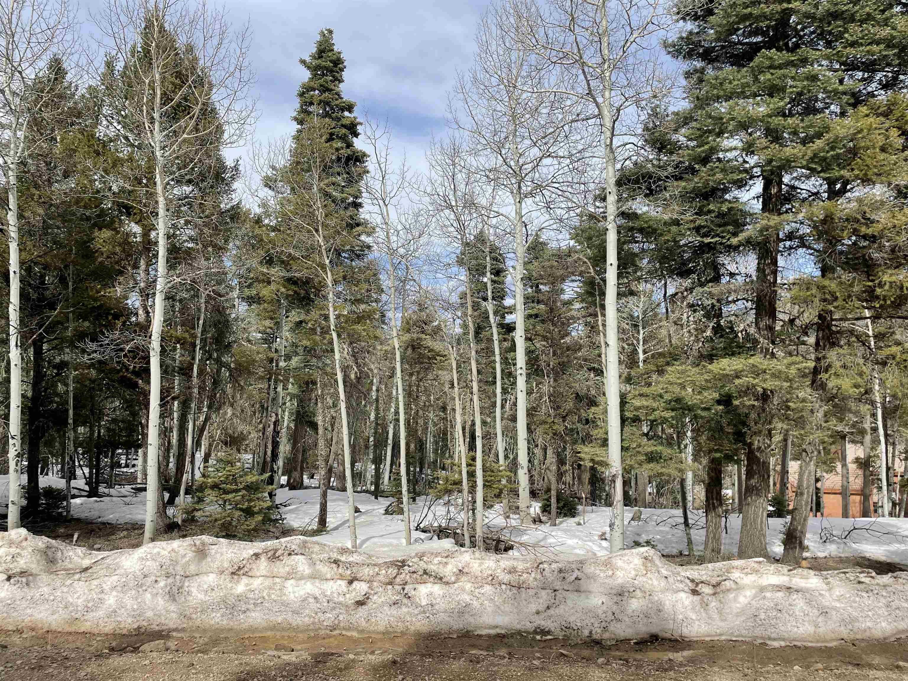 Lot 337 Rio Arriba Angel Fire, NM 87710 - Photo 3 of 9 Gallery Image 3