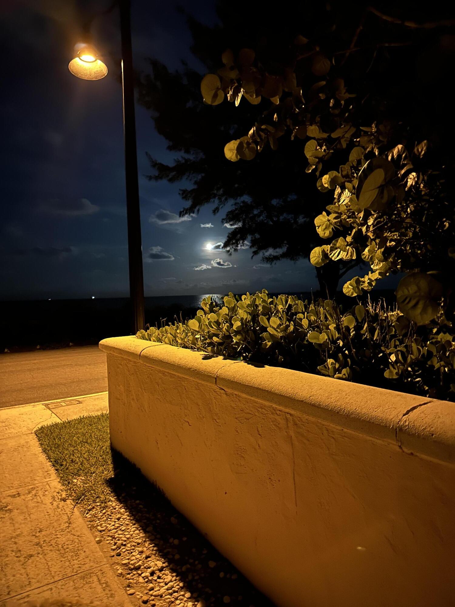 258 Seminole Avenue, Unit 4 Palm Beach, FL 33480 - Photo 10 of 10 a view of a terrace