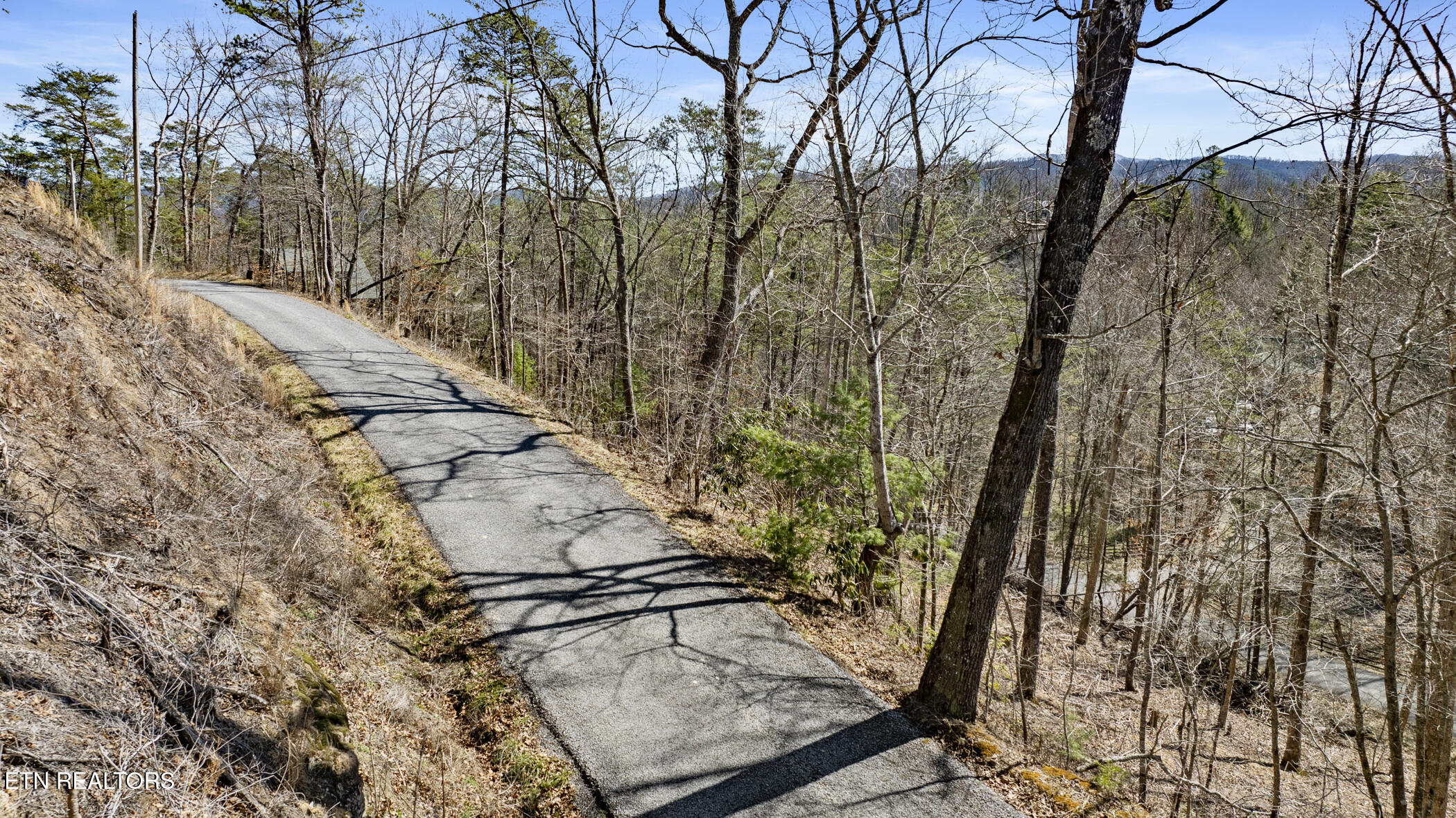 272 Cove Hollow Road Cosby, TN 37722 - Photo 7 of 17 COVE HOLLOW 5