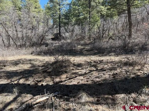 $1,125,000 | 182 Pineview Drive, Pagosa Springs, CO 81147