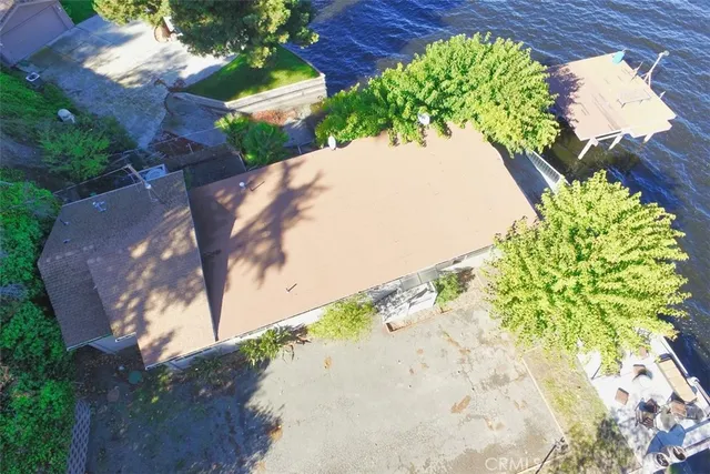 a view of a plant with a flower in a garden