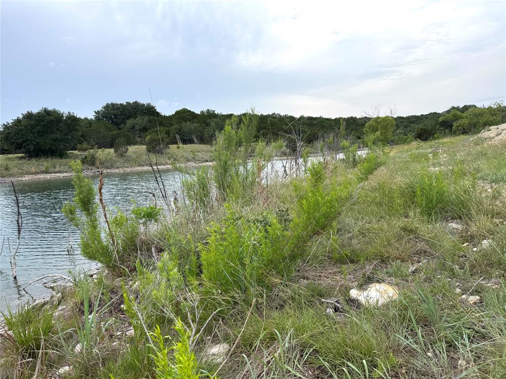 810 Anglers Ridge Bluff Dale, TX 76433 - Photo 9 of 23 a view of a lake with houses in back