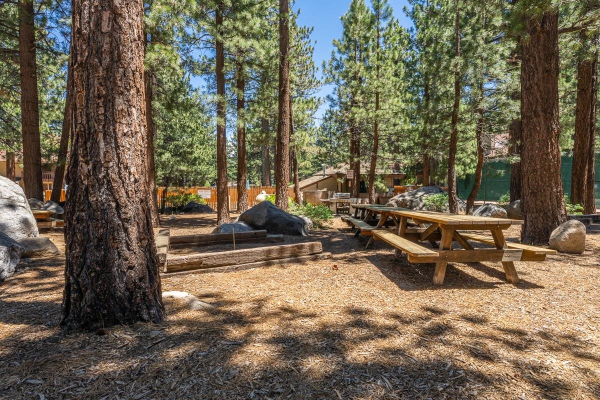2499 Sierra Nevada Road, Unit S1 Mammoth Lakes, CA 93546 - Photo 33 of 38 View of yard featuring view of scattered trees