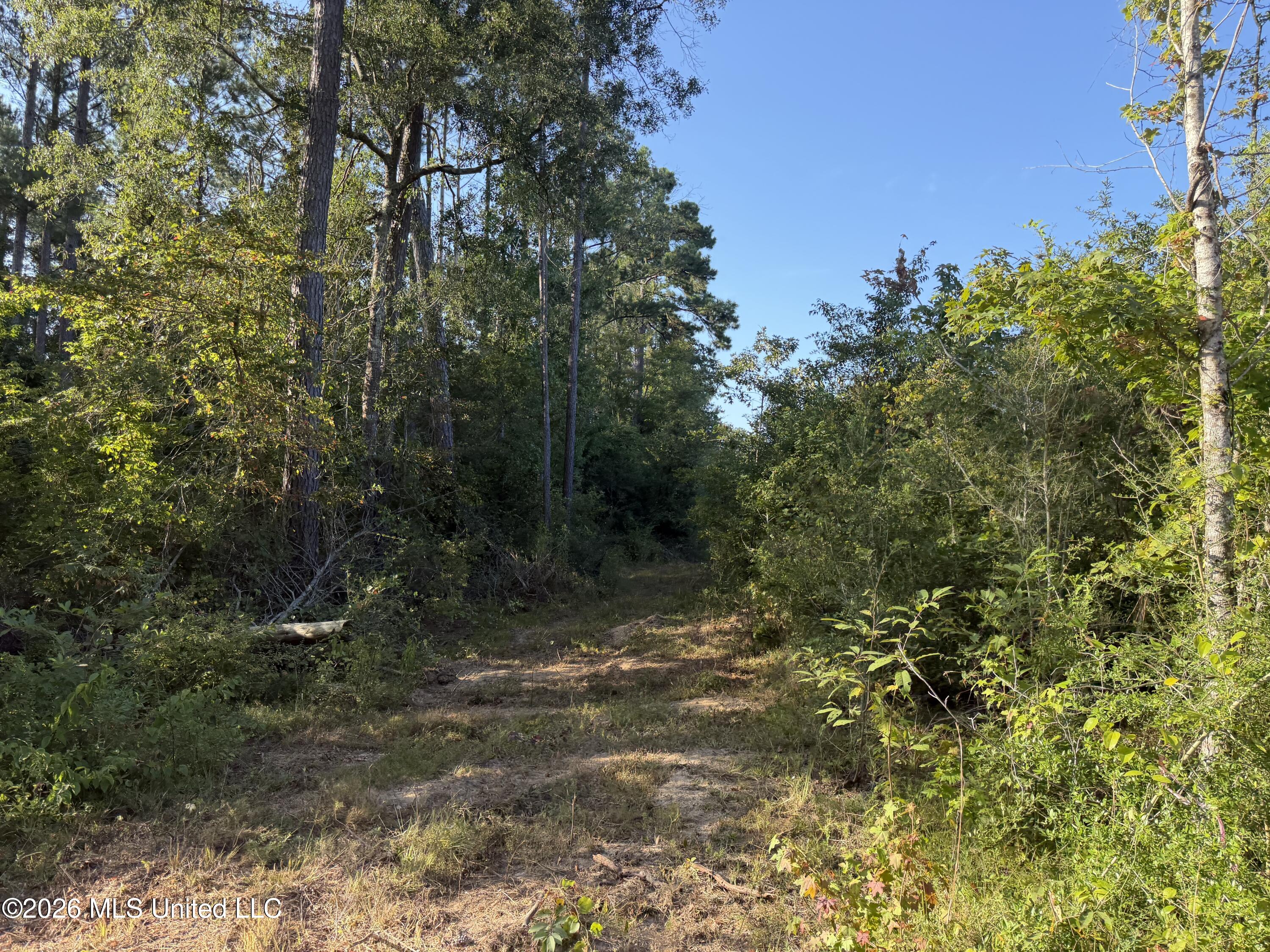 Ms-570 Ruth, MS 39662 - Photo 5 of 18 IMG_7808