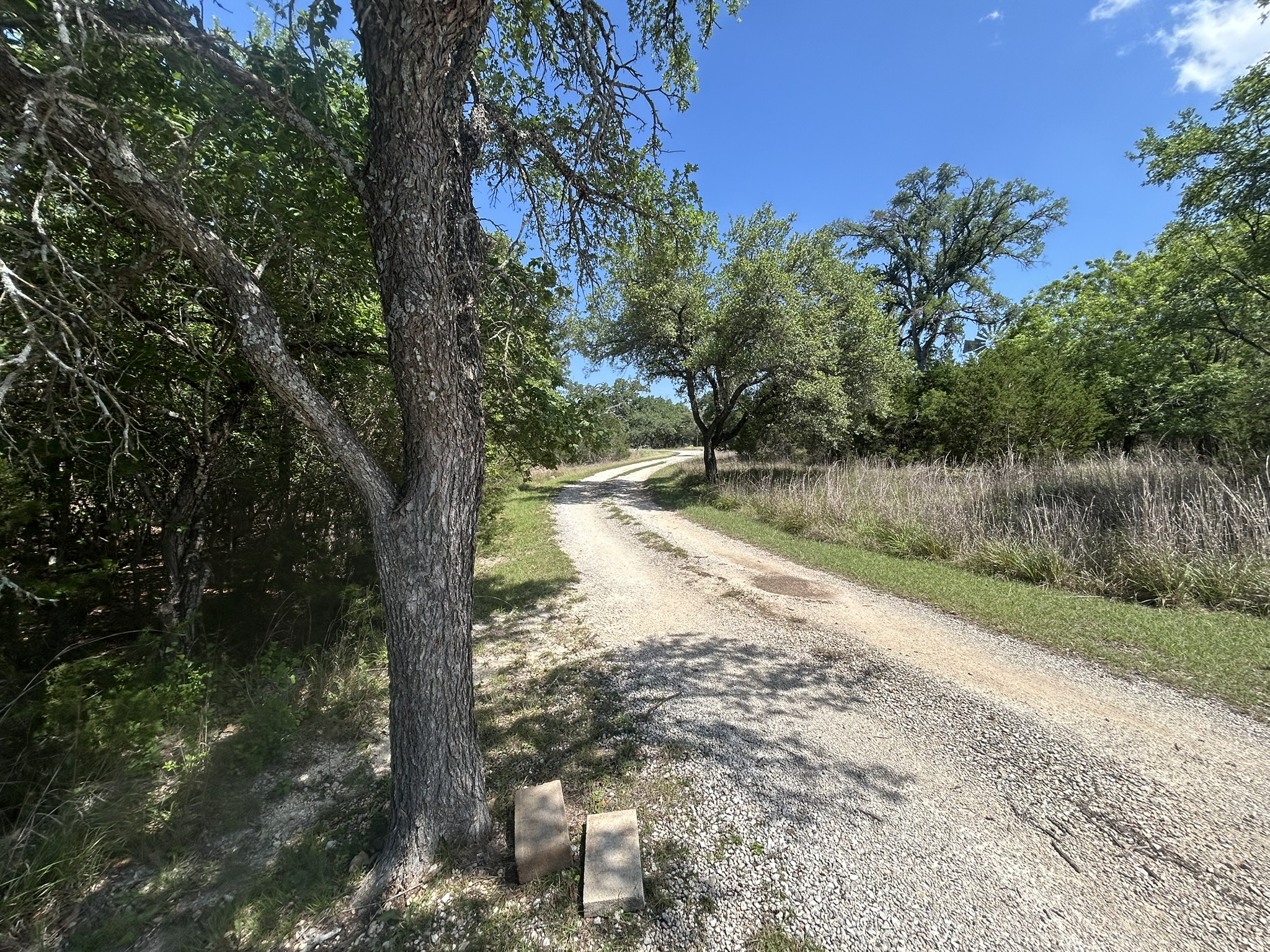 206 Wind Ridge Cove Georgetown, TX 78628 - Photo 4 of 19 a view of a road with a yard