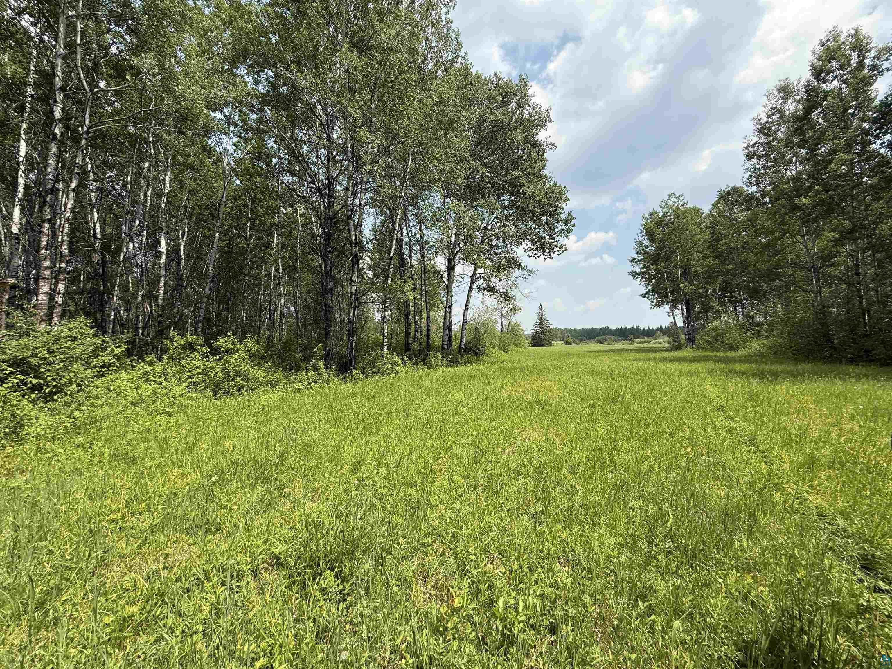 Tbd Samuelson Road Angora, MN 55703 - Photo 40 of 43 View of local wilderness