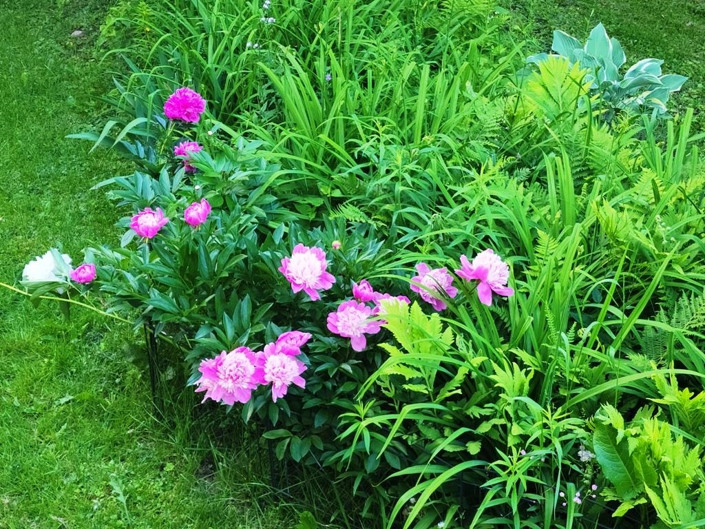 100 Maple Avenue Barre, VT 05641 - Photo 18 of 30