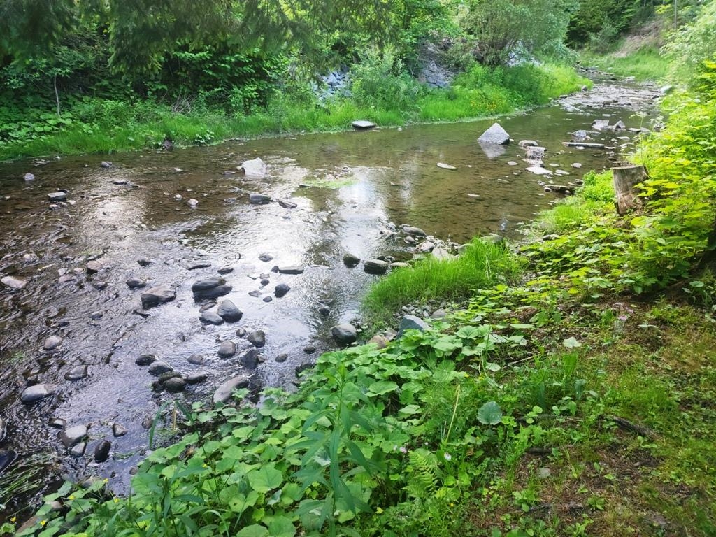 100 Maple Avenue Barre, VT 05641 - Photo 23 of 30