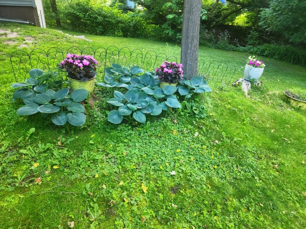 100 Maple Avenue Barre, VT 05641 - Photo 26 of 30