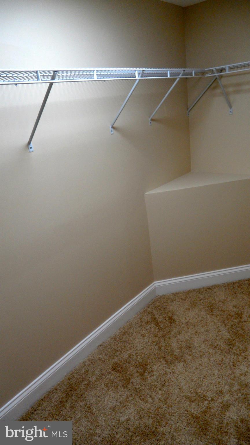 3606 Langrehr Road Baltimore, MD 21244 - Photo 27 of 30 Master Walk-in Closet