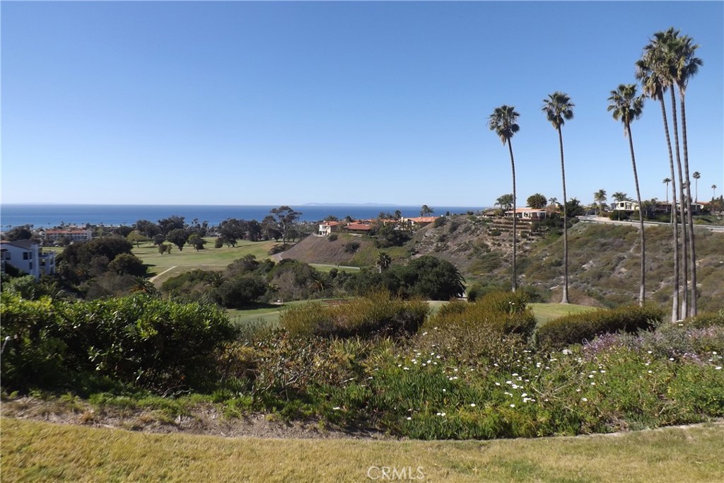130 Avenida Adobe San Clemente, CA 92672 - Photo 7 of 26 a view of a backyard