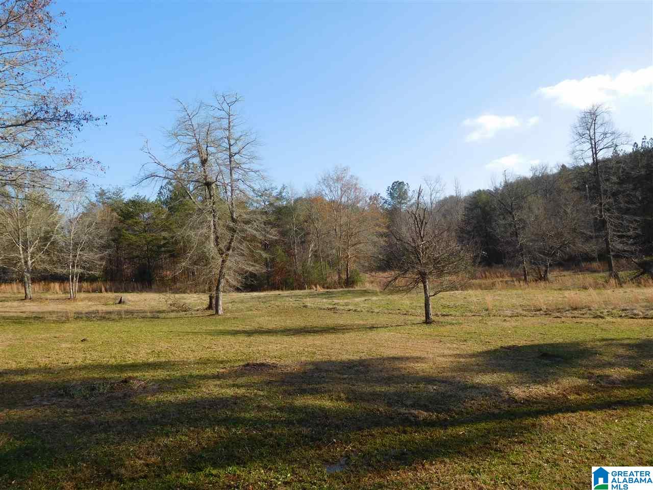 344 Seale Road Calera, AL 35040 - Photo 6 of 31