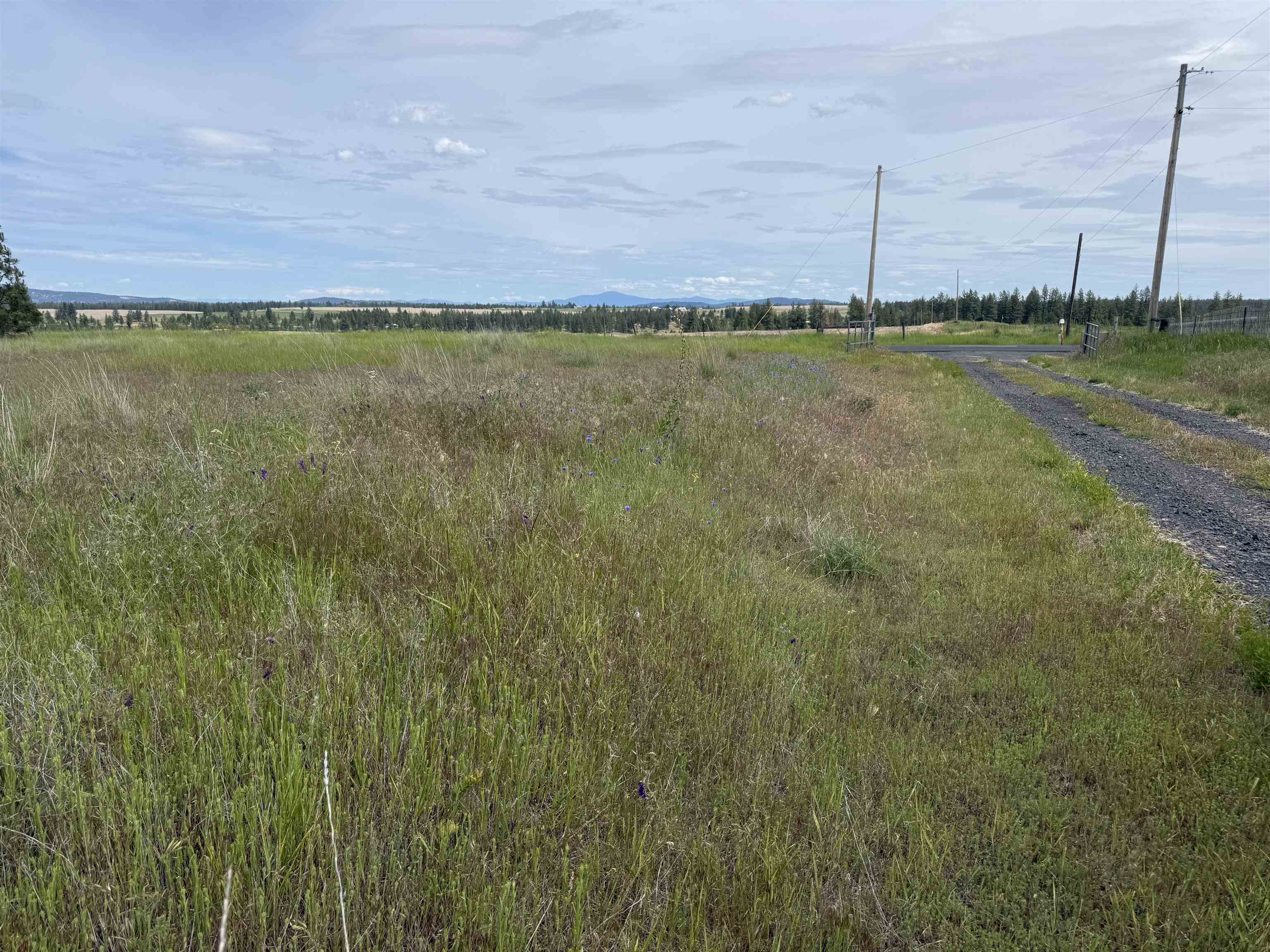 15211 North Wood Road Ford, WA 99013 - Photo 7 of 36