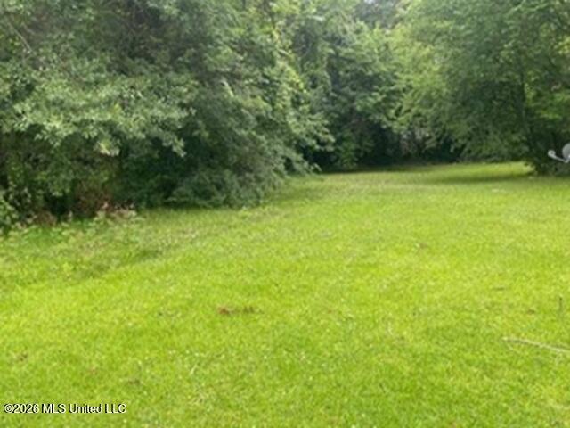 1717 9th Avenue Meridian, MS 39301 - Photo 4 of 4 4